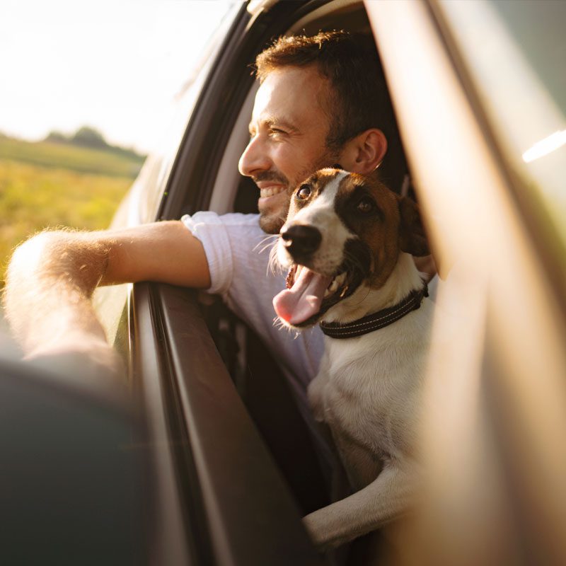 img-home-dogman